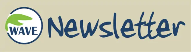 Buletinul informativ WAVE Septembrie-Octombrie