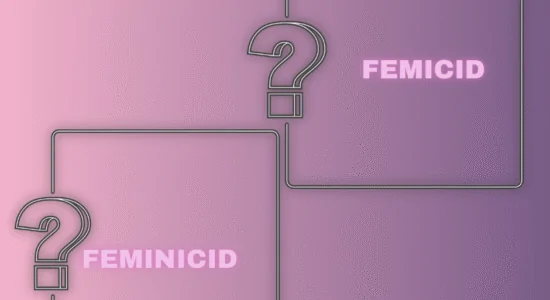 https://asociatia-anais.ro/conceptul-care-responsabilizeaza-statul-si-protejeaza-victima-femicid-sau-feminicid-in-incriminarea-violentei-extreme-asupra-femeilor/
